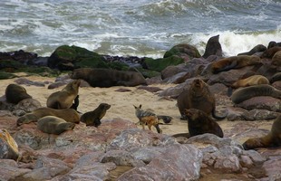 539 Namibia Okt 2006 .JPG